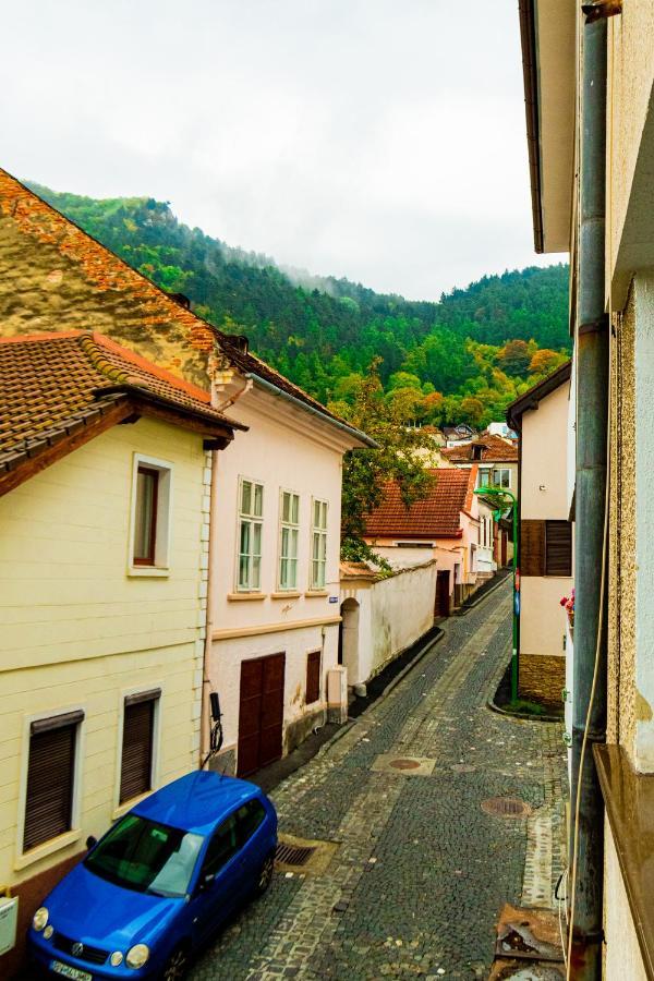 Ardor Apt - Bright And Secluded Apartment In The Heart Of Old Town Brasov Ngoại thất bức ảnh